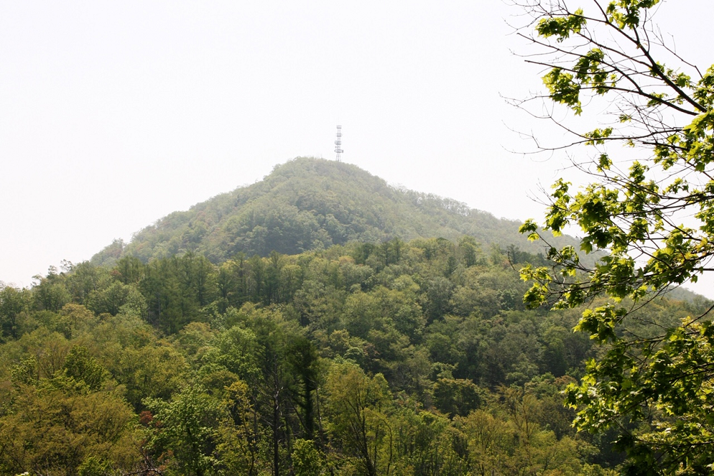 2020.05.15 01藻岩山