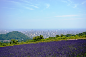 2020.06.28 幌見峠