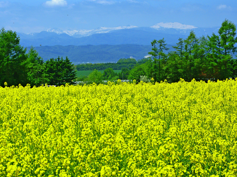 2022.05.20 滝川