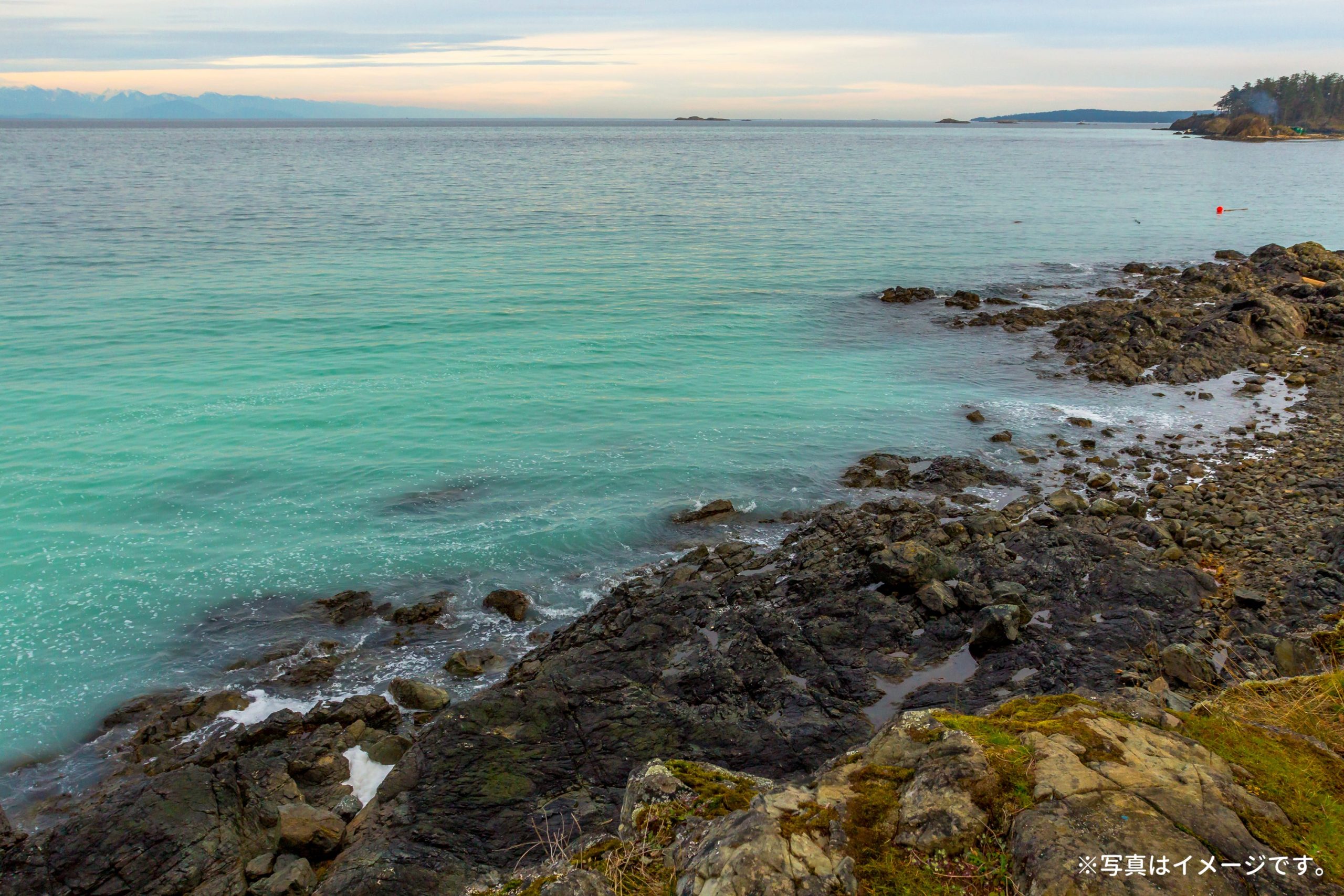 2026.02.12 春を告げる現象：群来